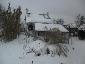 SAM_1253