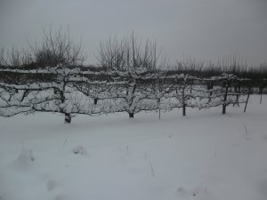 SAM_1258