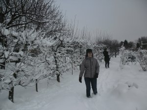 SAM_1260