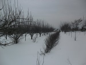 SAM_1261