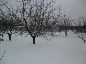 SAM_1265
