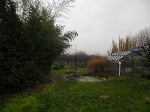 SAM_1288