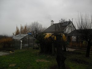SAM_1289